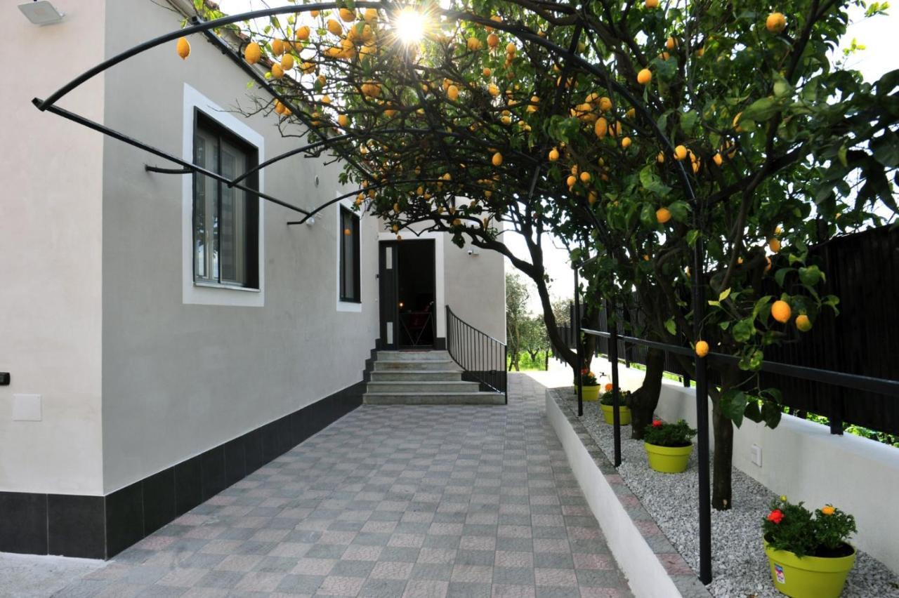 B&B Guest Armonie Торре-дель-Греко Экстерьер фото